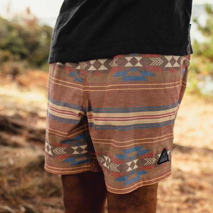 Clothing Passenger 22N8318 Ponoma Organic All Purpose Swim Short Glazed Ginger Pattern Men Glazed