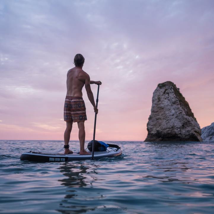 Clothing Passenger 22N8318 Ponoma Organic All Purpose Swim Short Glazed Ginger Pattern Men Glazed